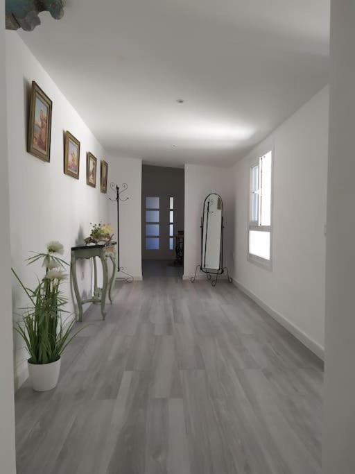 Espectacular Piso En La Misma Plaza Del Mentidero. Apartment Cadiz Exterior photo